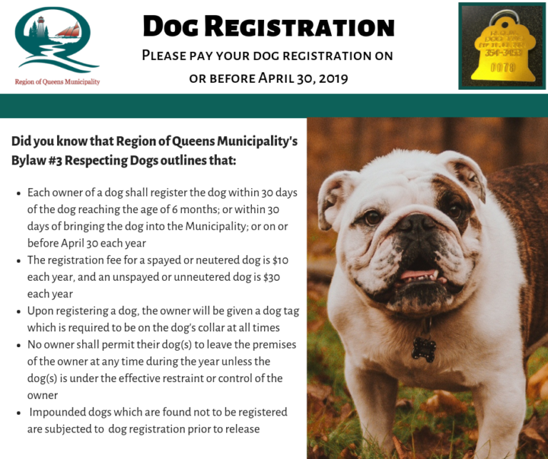 2019 Dog registration due