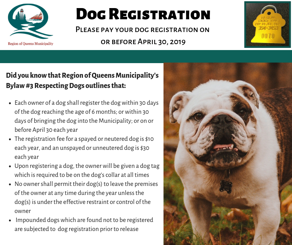 2019 Dog registration due