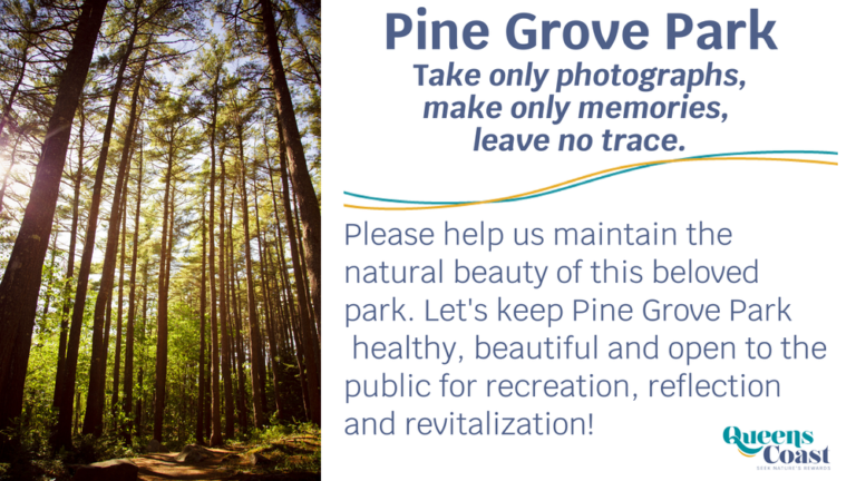 Pine Grove Park