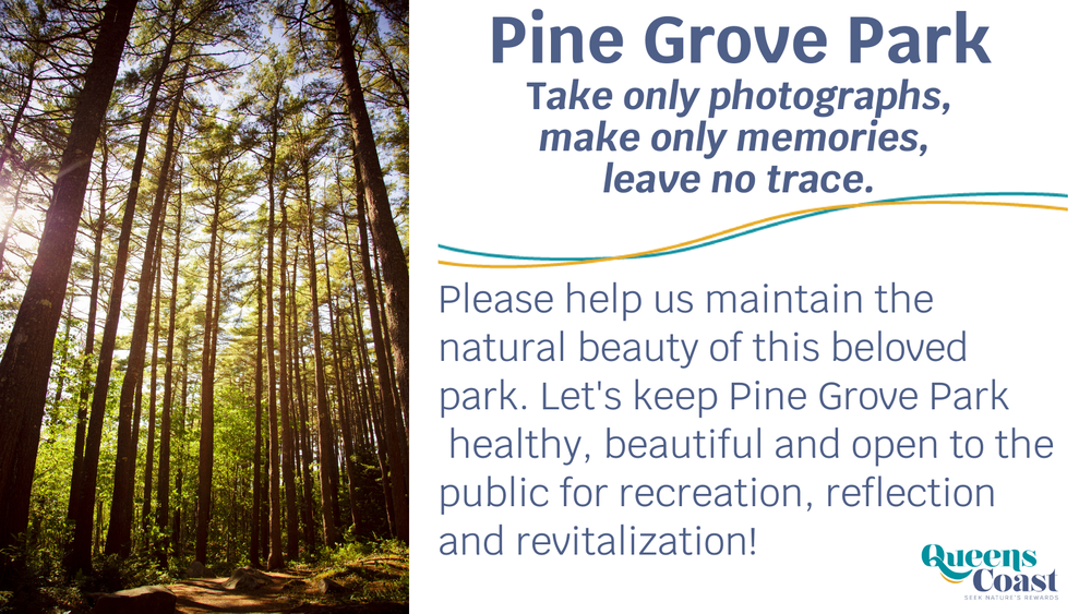Pine Grove Park