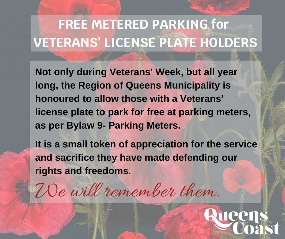 Bylaw 9 parking meters1