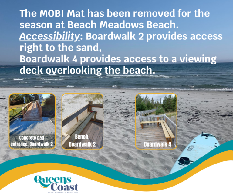 Boardwalk 22
