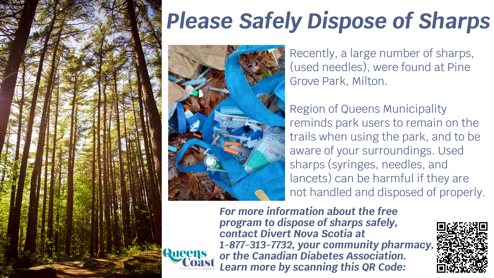 Pine Grove Park and park closures3